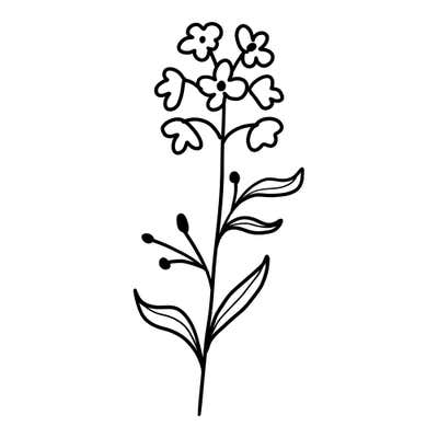 Cluster of tiny blossoms with heart-shaped petals and dot centers atop a tall stem with round buds and curved leaves