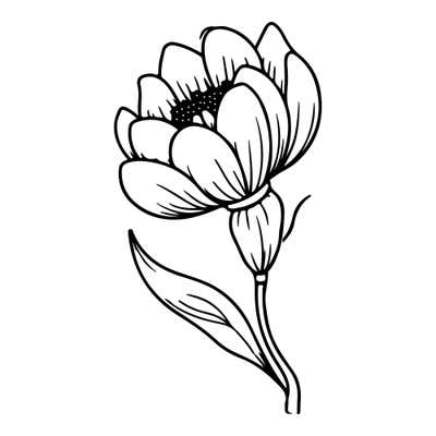 Full cup-shaped bloom of overlapping petals with a dotted center, a curving stem and one long sweeping leaf