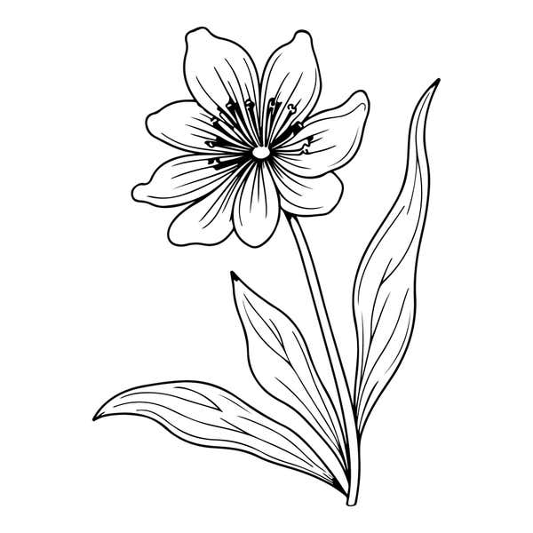 Six-Petal Meadow Flower Craft Stamp