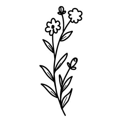Tall slender stem with two small dotted-center blossoms, closed buds and pairs of narrow leaves