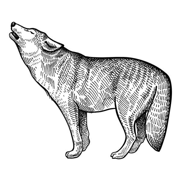 Woodland Wolf Craft Stamp
