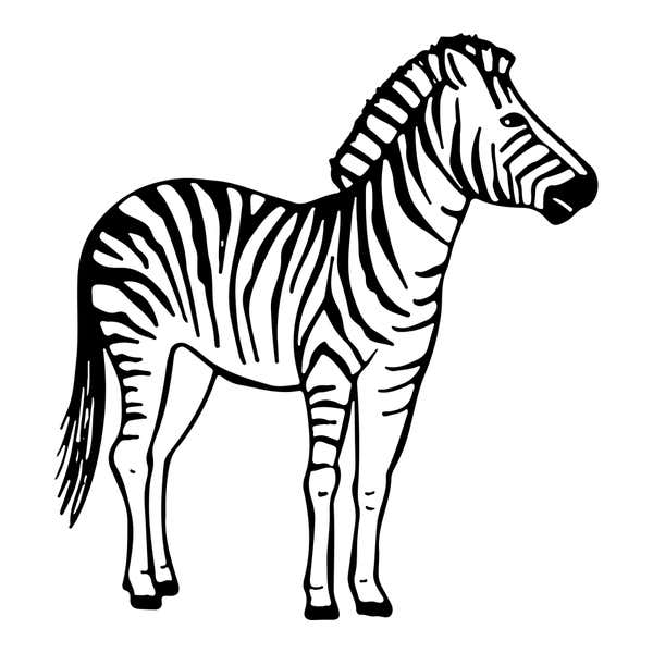 Safari Zebra Craft Stamp