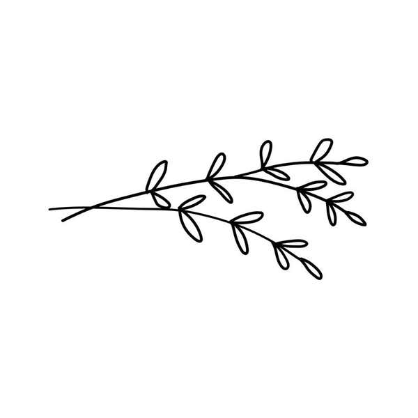 Simple Botanical Envelope Accent Stamp on White Background