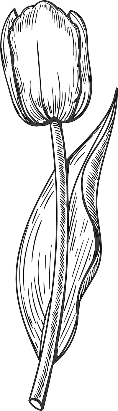 Tulip Stamp