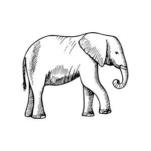 Jungle and safari animal craft stamps
