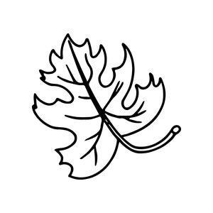 Leaf and foliage craft stamps