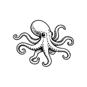 Ocean and underwater craft stamps