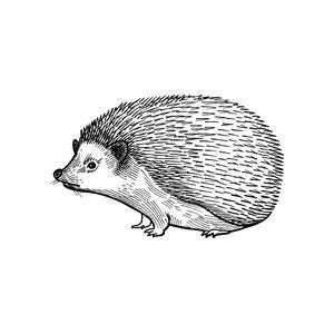 Woodland and forest animal craft stamps