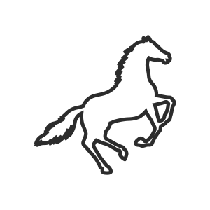 Animal Address Stamps